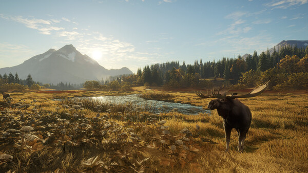 猎人：荒野的召唤（theHunter: Call of the Wild）v3331010